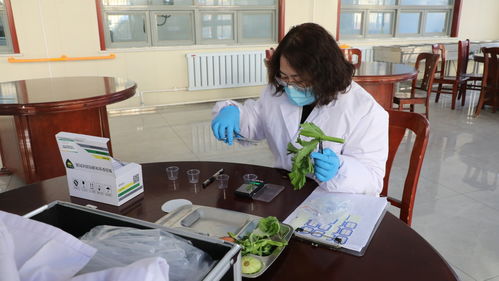 蠡縣“你點(diǎn)我檢”服務(wù)惠民，舌尖安全看得見